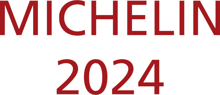 logo michelin 2020